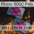 Rhino 8000 Pills 14